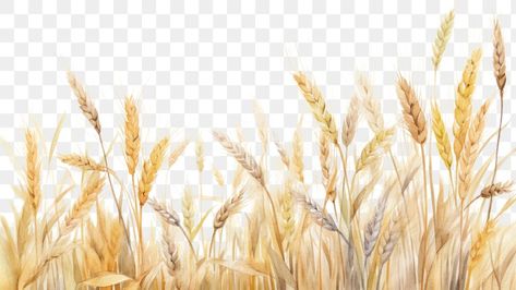 Wheat Background Wallpapers, Agriculture Design Ideas, Wheat Drawing, Agriculture Pictures, Collage Items, Agriculture Design, Holography, Stickers Design, Powerpoint Background Design