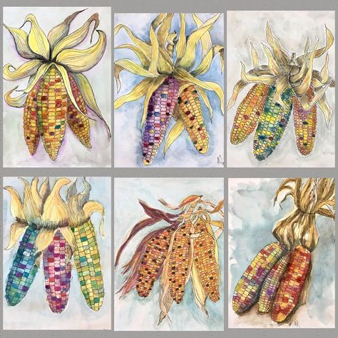 Art Room Britt: Indian Corn Pen and Watercolor Illustrations Indian Corn Drawing, Corn Painting, Autumn Elements, 8th Grade Art, Middle School Art Projects, Art Lessons Middle School, Fall Art Projects, Indian Corn, 6th Grade Art