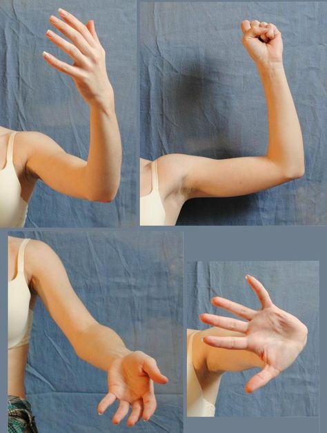 Arm Drawing, Hand Drawing Reference, Figure Reference, Body Reference Drawing, Hand Reference, Human Reference, Body Reference Poses, Body Anatomy, Human Poses Reference