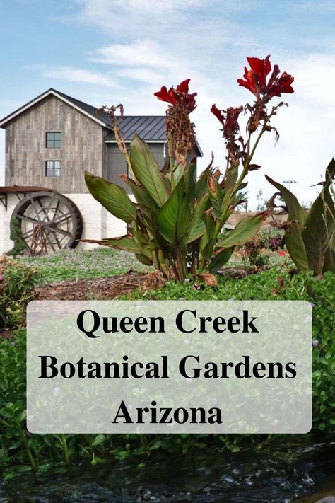 Have you canoed on a pond? Have you taken a yoga class in a garden? Photo from our visit to the new Queen Creek Botanical Gardens in Arizona. Arizona Activities, Queen Creek Arizona, Arizona Travel Guide, Arizona Photography, Trip Destinations, Picture Places, Retirement Plan, Road Trip Destinations, Arizona Travel