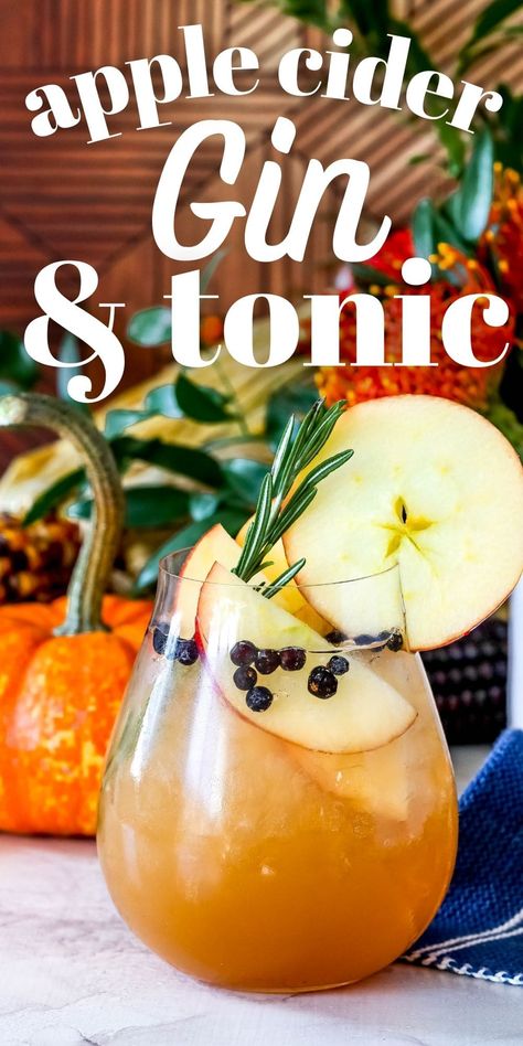 Gin Cider Cocktail, Apple Cider Gin And Tonic, Gin Apple Cider Cocktail, Gin And Apple Cider, Fall Gin And Tonic Recipe, Fall Gin And Tonic, Apple Gin Cocktail, Autumn Gin Cocktail, Best Gin Drinks