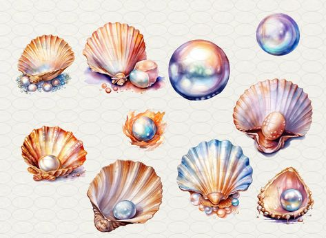 Watercolor Pearl, Shell Clipart, Pearl Clam, Seashell Illustration, Murmuration Art, Seashells Photography, Shell Drawing, Very Beautiful Images, Illustrator Inspiration