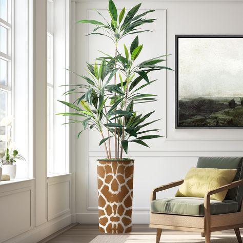 PRICES MAY VARY. [High Quality Materials] - Our realistic Dracaena Tree Tree is created using sophisticated botanical imitation technology that uses silk and polyester. [Gorgeous Planter Set] - Plant comes in durable and stylish plastic planter crafted by skilled designers. [Easy Assembly] - Planter, faux moss and plant are individual items that can be assembled with ease! [Flexible Home Decor] - Perfect for any setting throughout the household. Add modern style to a living room or office. Perfe Plastic Planter, Faux Plants Living Room, Tall Plant, Contemporary Planters, Faux Moss, Silk Tree, Tree Tree, Plastic Planters, Artificial Trees