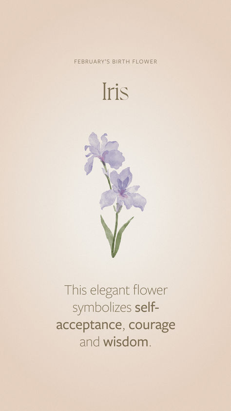 Self-acceptance, courage and wisdom shine from the noble iris (which is the Greek word for rainbow). It’s also one of February’s birth flowers! Iris Flower Meaning, Iris Symbolism, Greek Words And Meanings, Birth Symbols, Flower Symbolism, February Birth Flower, Iris Jewelry, Bookplate Design, February Birth Flowers