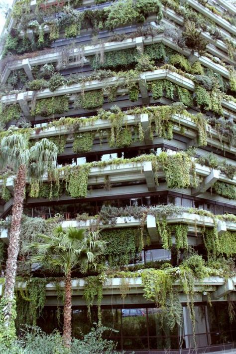 Barcelona spain, vertical gardens ..... https://www.pinterest.com/firststeps/rooftop-gardens/ Green Facade, Plants Growing, Green Architecture, Green City, Hanging Garden, Concrete Jungle, Futurism, Green Building, Green Wall