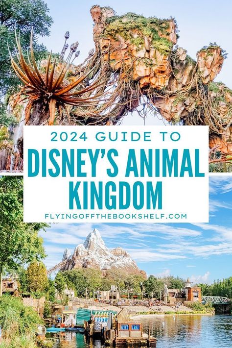 Planning a trip to Disney World? Here's everything you need to know about Animal Kingdom, from rides & attraction to dining & characters and more! Animal Kingdom Planning Guide, Animal Kingdom Tips And Tricks, Animal Kingdom Must Do List, Animal Kingdom Itinerary 1 Day, Disney World And Universal Studios Trip, Animal Kingdom Characters, Animal Kingdom Notes, Animal Kingdom Map, Disney October