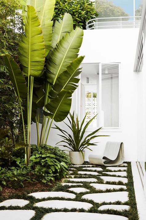 We spoke to 3 gardening experts to get the low down on what we can expect to see in 2022 when it comes to the great outdoors. Here are 9 garden trends we'll be hedging our bets on in the new year. Tropical Garden Design, Tropical Backyard, Gardening Trends, Garden Walkway, Backyard Garden Design, Tropical Landscaping, Courtyard Garden, Backyard Patio Designs, Garden Stones