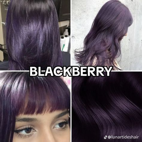 Light Purple And Dark Purple Hair, Blackberry Color Aesthetic, No Bleach Purple Hair, 2024 Hair Colour Trend, Dark Color Hair Ideas, Purple Haired Characters, Blackberry Hair Color, Hair Dye Inspo Aesthetic, Color On Dark Hair