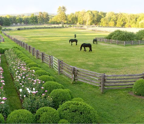 i'd like to be one of Martha's horses living in this meadow. Dream Horse Barns, Free Horses, Future Farms, Dream Barn, Horse Ranch, Horse Stables, Horse Barns, Horse Barn, Horse Farms