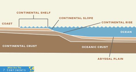 The true edge of a continent is not its coastline, but its continental shelf. Continental shelves continue underwater, and eventually, drop off into the deeper parts of the oceans. #continents الكوارث الطبيعية, Continental Shelf, Revision Notes, 7 Continents, Plant Shelf, Past Papers, The Continental, Plant Shelves, All About Plants