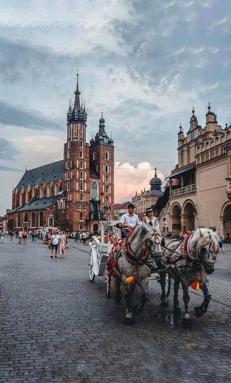 Krakow Travel, Poland Travel, Krakow Poland, Beautiful Places In The World, Krakow, Travel Inspo, Travel Insurance, Travel Aesthetic, Wonderful Places