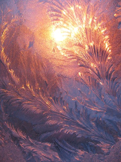 Frosted Windows, Belle Nature, Winter Frost, Winter Beauty, Beautiful Colours, Winter Wonder, Winter Art, Copyright Infringement, Source Unknown