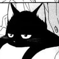 Silly Cat Gif, Silly Cat Doodles, Black Cat Manga, Doodles Silly, Black Cat Drawing, Cat Doodles, Black Cat Aesthetic, Black Cat Anime, Cat Dark