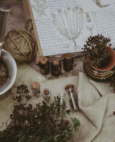 Herbalist Witch Aesthetic, Green Witch Photography, Healing Plants Aesthetic, Herbs And Spices Aesthetic, Ethnobotany Aesthetic, Witchy Tea Aesthetic, Herbs Aesthetic Witch, Apocathery Aesthetic, Dark Herbalist Aesthetic