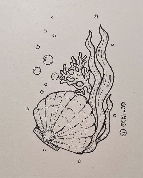 Ocean Aesthetic Doodles, Sea Shell Art Drawing, Cute Ocean Creatures Drawing, How To Paint A Jellyfish Step By Step, See Creatures Drawing, Mermaid Core Drawing, Easy Sea Life Drawing, Sea Stars Drawing, Seaweed Tattoo Simple