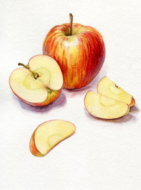 Water Colour Fruit Painting, Apple Illustration Art, Drawing Apples, Food To Draw, Apples Drawing, Water Colour Ideas, Apple Paintings, Apple Watercolor Painting, Apples Watercolor