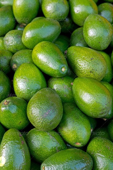 Market Affiliate, Avocado Food, Healthy Nutrition Plan, Green Avocado, Avocado Fruit, Elements Illustration, Brown Spots Removal, Web Elements, 140 Pounds