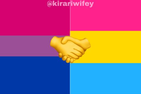 Pan Sexuality Flag, Pansexual And Bisexual, Pan Aesthetic, Pan Flag, Bi Flag, Lgbtq Funny, Lgbtq Flags, Lgbt Flag, Gay Memes