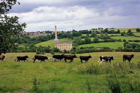 Chipping Norton landscape to Bliss Tweed Mill Chipping Norton, Soho Farmhouse, Cotswold Villages, Luxury Cottage, Beautiful Villages, English Countryside, Holiday Cottage, Country Chic, Beautiful Nature