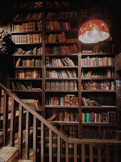 Big Book Shelf, Vintage Book Shelf Ideas Aesthetic, Old Book Shelf, Aesthetic Bookshelves Vintage, Vintage Book Shelf Aesthetic, Old Books On Shelf, Old Bookcase Aesthetic, Bookshelf Old Aesthetic, Oak Bookshelves