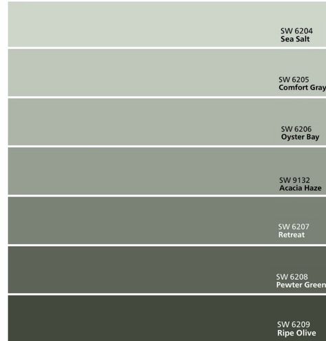 Colour Palette For Architecture Sheets, Green Gray Color Palette, Tree Color Palette, Colour Names, Skillion Roof, Packaging Concept, Colour Architecture, Architecture Panel, Color Plan