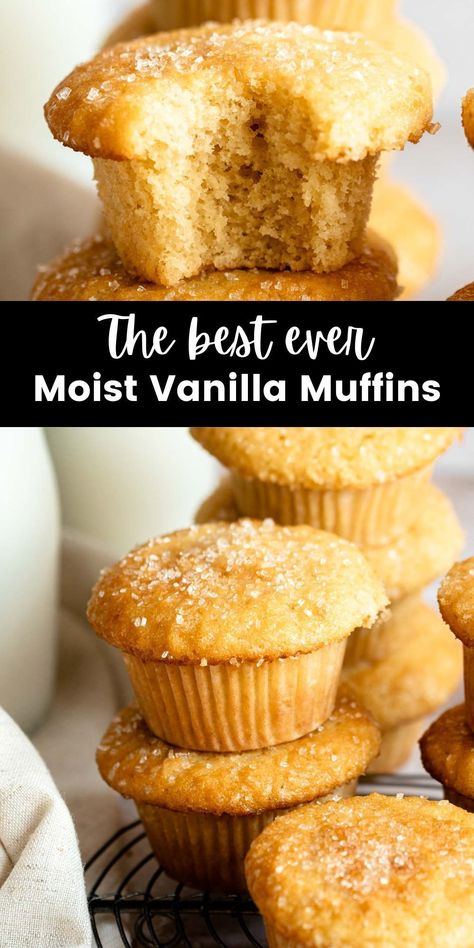 These classic vanilla muffins and moist, tender, fluffy, and made in one bowl. They are filled with vanilla flavor and are the perfect base muffin recipe so you can add many flavors and fillings! Mini Vanilla Muffins, Easy Vanilla Muffins, French Vanilla Muffins, Vanilla Yogurt Muffins, Moist Vanilla Muffins Recipe, Vanilla Muffins Moist, Healthy Vanilla Muffins, Vanilla Muffins Recipe Easy, Small Batch Muffin Recipe