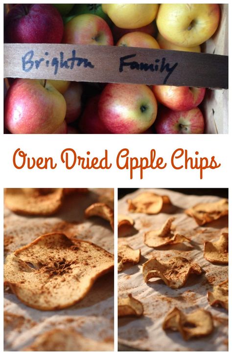 Dehydrator Recipes Fruit, Dried Apple Chips, Dried Fruit Recipe, Apple Chips Recipe, Cinnamon Apple Chips, Apple Chips Baked, Whole 30 Snacks, Slow Cooker Apple Butter, Fall Apple Recipes