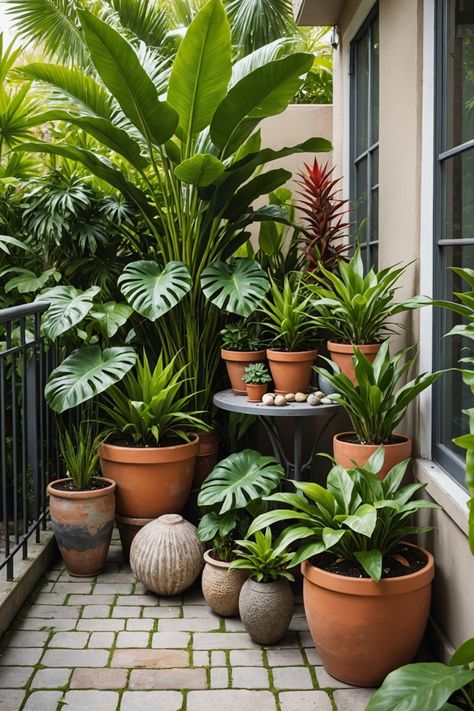 20 Small Tropical Garden Design Ideas - Toolz Geek Small Garden Potted Plants, House Plants Decor Balcony, Tropical Plant Containers, Tiny Tropical Garden, Balcony Pots Ideas, Tropical Balcony Ideas, Little Garden Ideas Small Spaces, Tropical Garden Design Small Spaces, London Garden Ideas