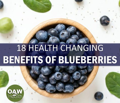 Continuing research shows that some of the health-changing benefits of blueberries include protecting against, and even reversing, some cognitive loss. Blueberry Nutrition Facts, Blueberry Benefits, Benefits Of Berries, Benefits Of Organic Food, Organic Blueberries, Healthy Food Options, Natural Medicine, Organic Recipes, Blueberries