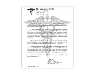 Esa Letter, Dog Doctor, Psychiatric Service Dog, Doctors Note, Animal Letters, Service Animal, Service Dog, Service Dogs, Letter A