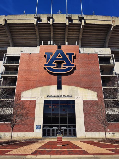 Auburn Volleyball, Auburn University Campus, Auburn University, Auburn Tigers, University Campus, Elementary Education, Auburn, Tigers, Volleyball