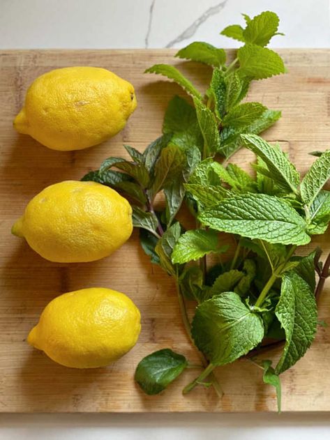 photo of lemons and fresh mint and basil herbs Basil Lemonade Recipe, Basil Simple Syrup, Shrub Recipe, Basil Lemonade, Pina Colada Recipe, Simple Syrup Recipes, Lemon Benefits, Lemonade Recipe, Kitchen Herbs