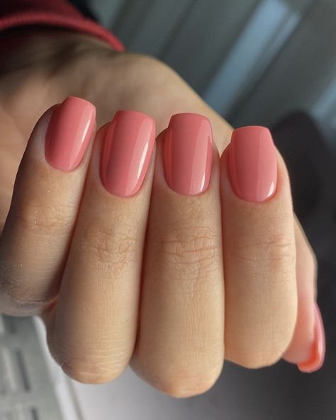 The GelBottle Inc™ on Instagram: “Be unapologetically you. 💅 Take charge and take risks in Bold BIAB™. An eye-catching dusky pink, with warm undertones 💖 Discover the…” Warm Pink Nails, Shellac Nail Colors, Pointy Nails, Nail Style, Metallic Nails, Shellac Nails, Glam Nails, Dusky Pink, Crystal Nails