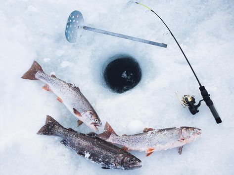 Ice Fishing Tips, Ice Fishing Lures, Frozen Water, Winter Fishing, Brook Trout, Brain And Heart, Walleye Fishing, Fish House, Crappie Fishing