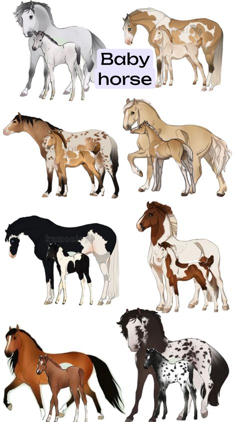 Horse Photography Poses, Horse Markings, Horse Art Drawing, Horse Coat Colors, Horse Breeder, Hybrid Art, Horse Sketch, Paint Horse, Horse Drawing