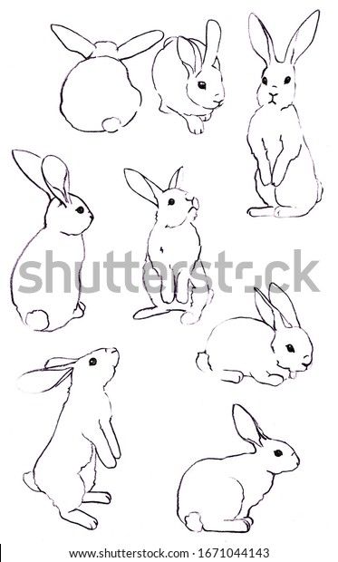 Bunny Drawing Side View, Line Art Rabbit, Rabbit Sketches, Easter Rabbit Illustration, Rabbits Wallpaper, Running Drawing, Bunny Sketches, Rabbit Artwork, Rabbit Drawing