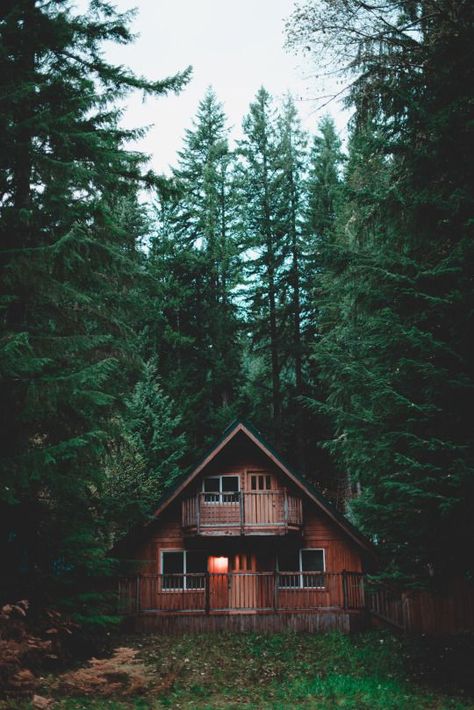 A cozy cabin in the woods. Little Cabin, A Cabin, Cabins And Cottages, Forest House, Cabin Life, Into The Woods, Cabin Homes, Pine Trees, Cabins In The Woods