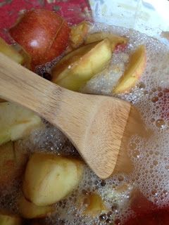 Entropy Kitchen: Making Apple Cider Vinegar Apple Cider Vinegar Health, Diy Apple Cider, Making Apple Cider, Real Food Meal Plan, Make Apple Cider Vinegar, Vinegar Benefits, Apple Vinegar, Fermented Drink, Clean Cooking