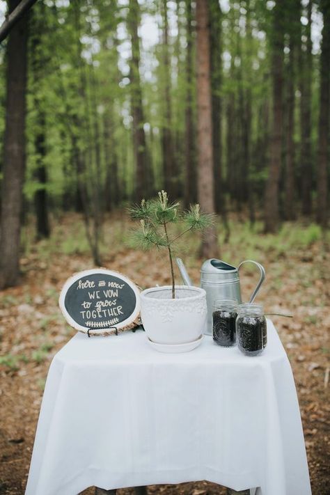 Unity Ceremony | Best ideas for unity Ceremony weddings | Wedding | Italy Wedding Ceremony Unity Candle, Unity Candle Alternatives, Tree Wedding Ceremony, Unity Ideas, Candle Alternatives, Hunting Wedding, Wedding Ceremony Unity, Wedding Ceremony Ideas, Wedding Tree