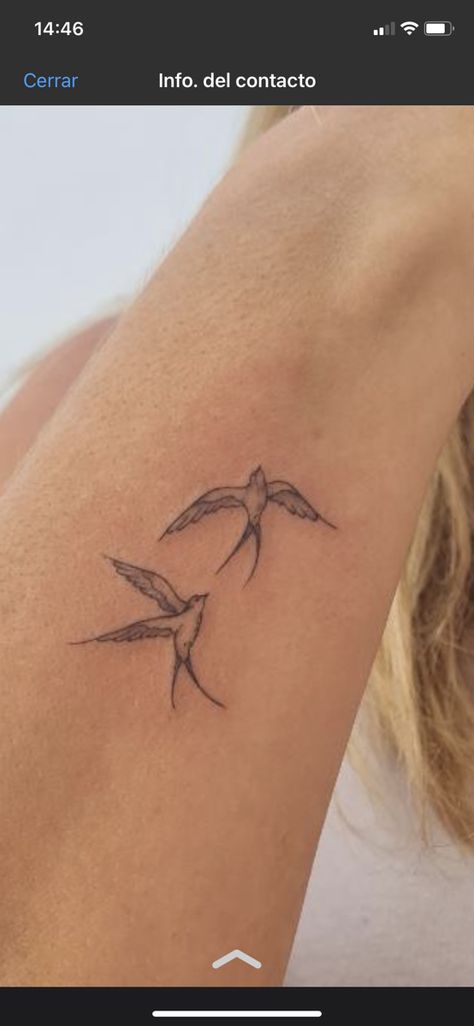 Tattoo Means Freedom, Fine Line Birds Tattoo, 2 Bird Tattoo, Bird Holding Flower Tattoo, Fine Line Sparrow Tattoo, Dainty Dove Tattoo, Hope Is The Thing With Feathers Tattoo, Simple Sparrow Tattoo, Kite Bird Tattoo