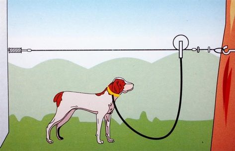 Dog Zip Line, Dog Runner, Diy Dog Run, Bolt Dog, Dog Trolley, Dog Run, Dog Tie, Cabbages, Dog Fence