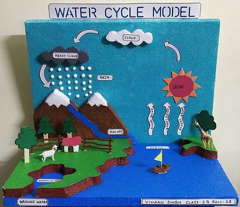 Water Life Cycle Project, Water Cycle Working Model, Water Cycle Project Kids, Water Cycle Model Projects, The Water Cycle Project, Water Cycle Project Models, Water Life Cycle, Bodies Of Water Activities, Science Tlm