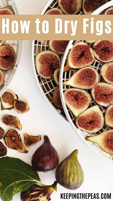 Dehydrating Figs, Dehydrate Figs, Dehydrated Figs, Drying Figs, Dehydrating Fruit, Homestead Food, Dried Fig Recipes, Preserving Vegetables, Vegan Tips