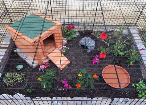 Make a tortoise enclosure in a dog crate! #DIY - PetDIYs.com Tartaruga Habitat, Dog Pen Outdoor, Turtle Cage, Outdoor Tortoise Enclosure, Turtle Enclosure, Tortoise Table, Turtle Homes, Tortoise House, Tortoise Enclosure