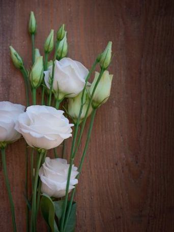 Lisianthus Bouquet, Lisianthus Flower, Bloom Blossom, White Wedding Flowers, Flower Names, Flower Farm, Blossom Flower, Types Of Flowers, Beautiful Blooms