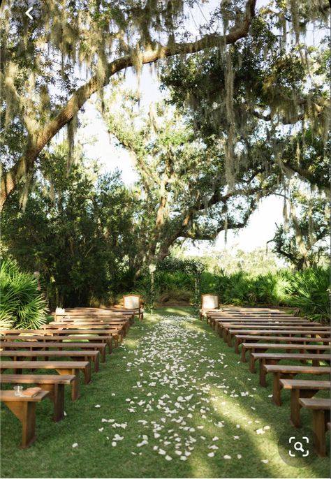 Forest Theme Wedding, Rustic Wedding Decorations, Future Wedding Plans, Outdoor Wedding Venues, Wedding Mood, Forest Wedding, Wedding Planners, Outdoor Ceremony, Simple Weddings