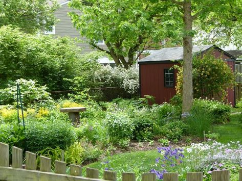 Virginia Gardening, Native Plant Garden, Landscaping Decor, Native Plant Landscape, Special Plants, Small House Garden, Native Plant Gardening, Plant Garden, Wildlife Gardening