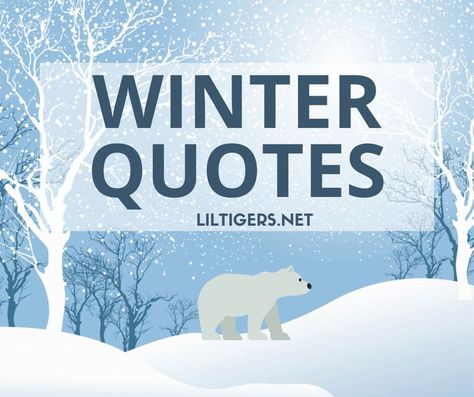 100+ Best Winter Quotes and Sayings Winter Phrases, Short Winter Quotes, Quotes About Winter, Winter Captions, Sayings For Kids, Narnia Quotes, First Day Of Winter, Winter Classroom, Winter Pins