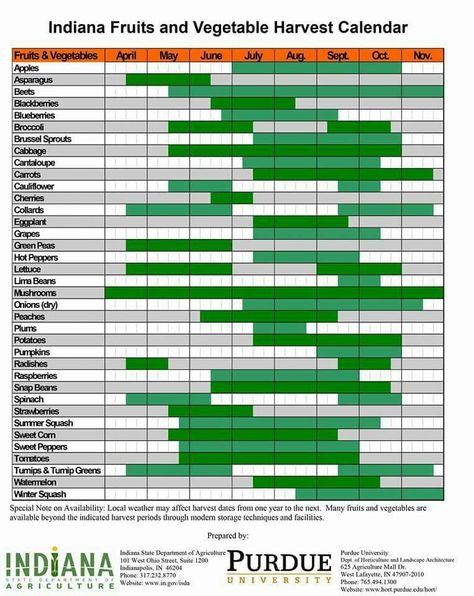 Indiana fruit and veg harvest guide Seasonal Produce Chart, Harvest Calendar, Broccoli And Brussel Sprouts, Seasonal Produce Guide, Snap Beans, Dried Peaches, Vegetable Harvest, Newsletter Signup, Seasonal Produce