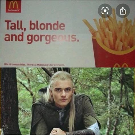 Legolas Imagines, Legolas Funny, Lotr Legolas, Legolas And Gimli, Legolas And Thranduil, Lotr Funny, Orlando Bloom, Thranduil, Jrr Tolkien